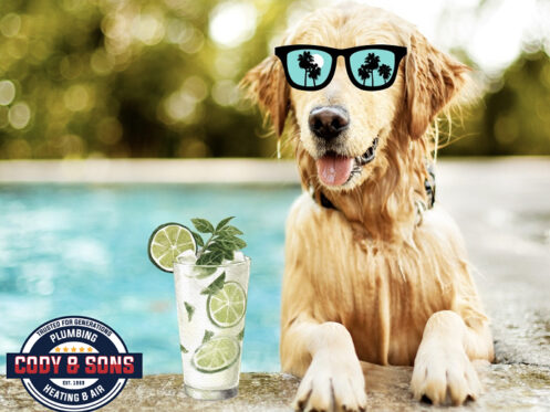 A dog sitting in a swimming pool wearing sunglasses with a pretend mojito drink by his side.